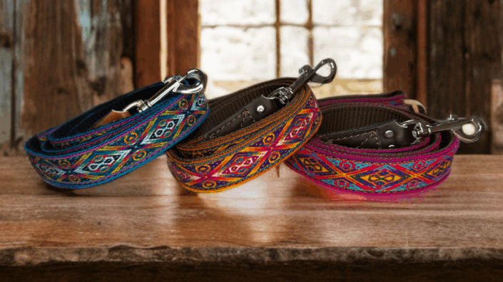 Dog Collars
